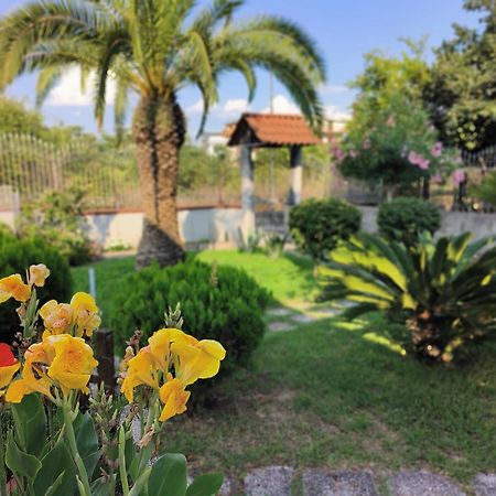 I Giardini Di Plinio - Elegante E Luminoso. Appartement Boscoreale Buitenkant foto