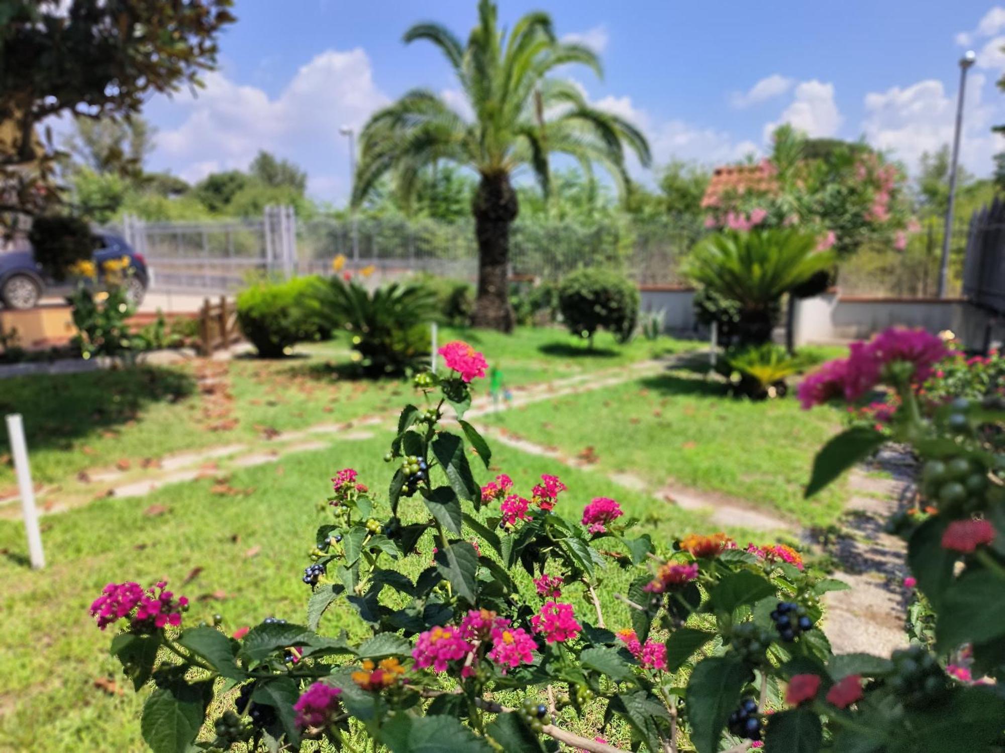 I Giardini Di Plinio - Elegante E Luminoso. Appartement Boscoreale Buitenkant foto